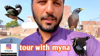 aj myna k sath outside tour // myna talking