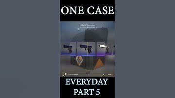 OPENING A CSGO CASE EVERYDAY | PART 5 | Weapon Case 3