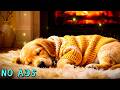 15 Stunden beruhigende Musik für Hunde 🐶💖 Harmonische Schlaftherapie 🎵 Stressabbau &amp; Ruhe