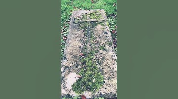 Mysterious Knight Templar Grave 🛡️⚔️🪦Hidden In The Forest Under A Tree ✝️ Rose Line 🌹🩸