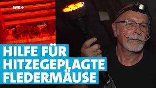 Südpfälzer hilft hitzegeplagten Fledermäusen
