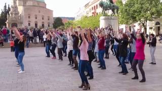 Dr. Salsa animáció - Tánc világnapja - Pécs 2017.