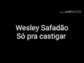 Wesley Safadão/Só pra castigar (letra)