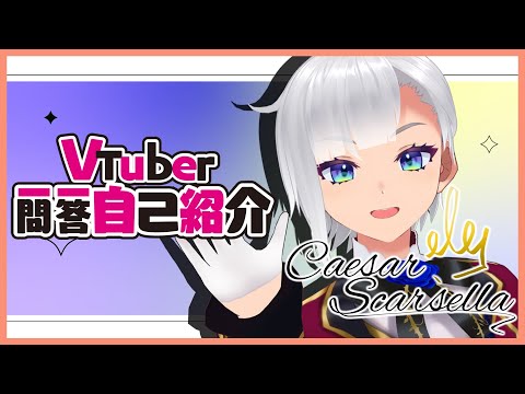 【自己紹介】Vtuber一問一答自己紹介 / Vtuber Q＆A self introduction【新人Vtuber】