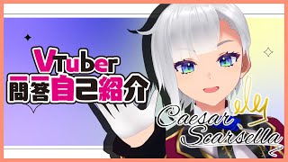 「【自己紹介】Vtuber一問一答自己紹介 / Vtuber Q＆A self introduction【新人Vtuber】」のサムネイル