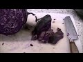 Beginning of video