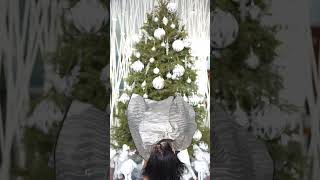 New Hair Just In Time For The Holidays シ