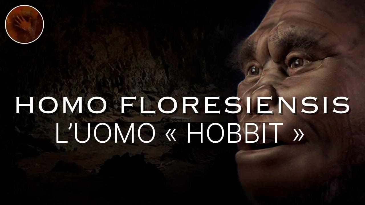 Homo Floresiensis: la vera storia dell'uomo 'Hobbit' | Documentario sui primi umani