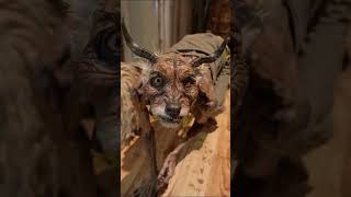 #horror#ai#artificialintelligence #funny#horrorstories#horrorshorts #explore#viral#video#trending