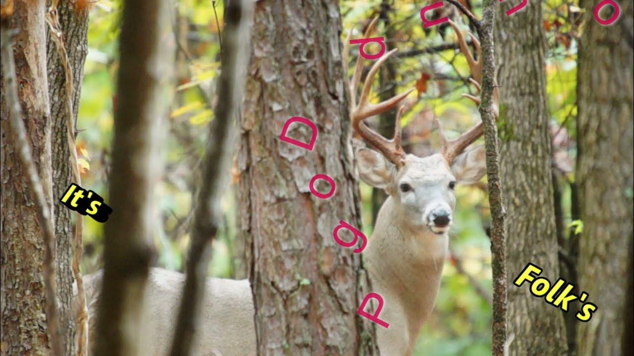 last-day-of-hunting-season-2021pt2-youtube