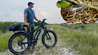 Looking For Pythons By Bike!