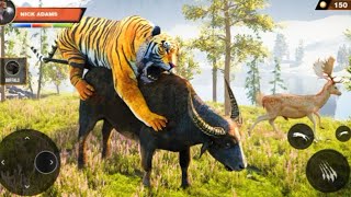 Wild Tiger Simulator 🐯🔥 | Jungle King Survival Gameplay | Ultimate Tiger Attack Game screenshot 1