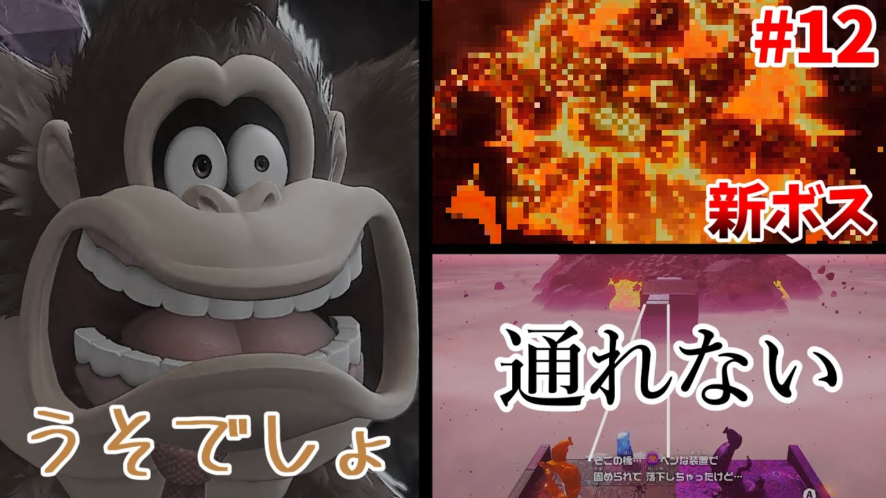 めいせい絶望…2つの事実を受け入れなければならない…　Part12　【ドンキーコングバナンザ】