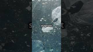 Plastic Smog Of 170 Trillion Particles Afloat In The Ocean