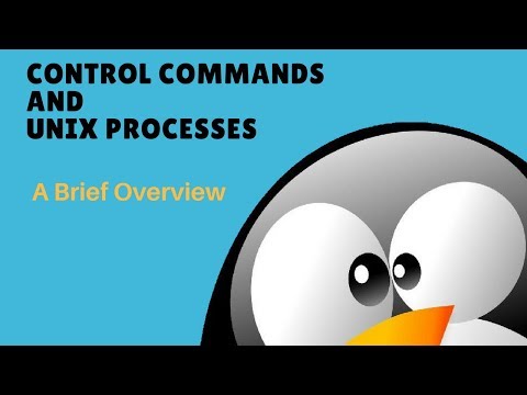 Unix Processes Control Commands Like Ps And Top Part C