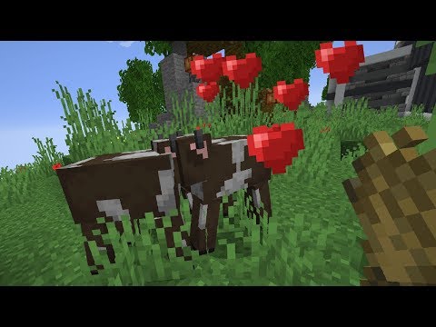 Вопрос: Как разводить животных в Minecraft?