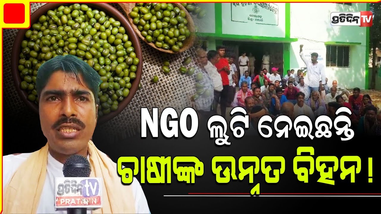 NGO ଲୁଟି ନେଇଛନ୍ତି ଚାଷୀଙ୍କ ଉନ୍ନତ ମୁଗ ବିହନ! Khordha Bolagarh, Farmer protest.