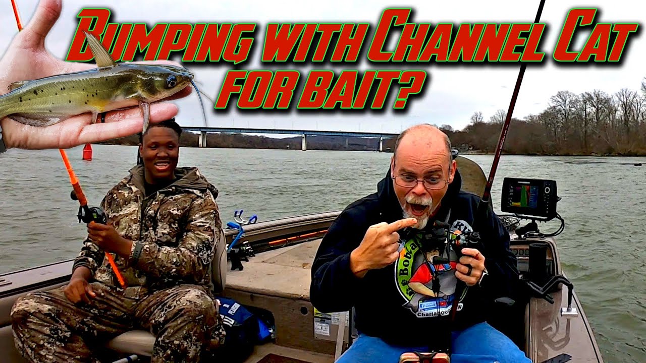 You WONT Believe what we Caught! - YouTube