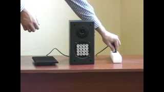 Комбинированный подавитель диктофонов (блокиратор диктофонов) Спайсоник Десктоп XL Комби