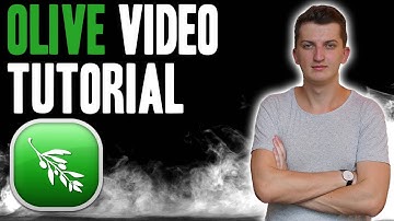 Beginners Guide on How to Use Olive