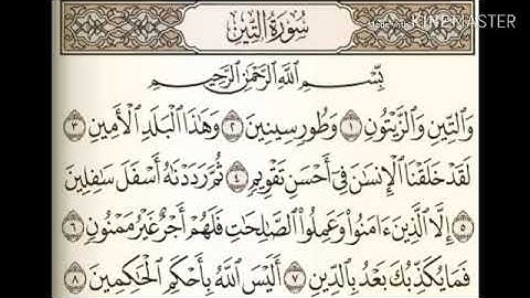 القران الكريم سوره التين بصوت جميل