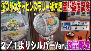 道の駅　栃木県版　ピンズ　コンプリート品 mqdefault.jpg