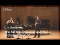 The 19th mpyc l v beethoven  trio for flute basson  piano in g major woo 37