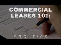 Commercial Leases 101: Pro Tips | Lewis On The Law