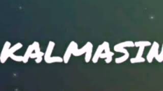 Bilal Sonses - Sol Yanım Resimi