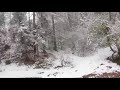 #randomstuff #fog #islamabad Heavy snowfall | Islamabad | Murree | Pakistan
