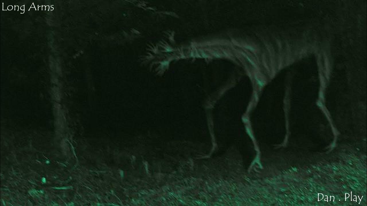 лавкрафт сиреноголовый. Heroes 5 северные кланы. Heroes 5 ncf мод. звуки существ. звуки существ.