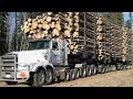 Dangerous Fastest Skills Chainsaw Wood Cutting, Biggest Logging Wood Truck &amp; Wood Sawmill Machines