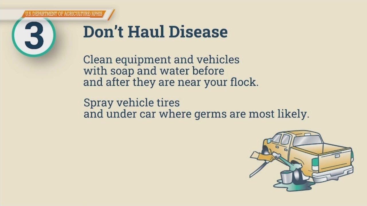 GoodDay NWA: Defend the Flock