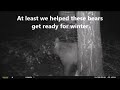 End of Bear Season 2018