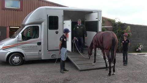 Gary Witheford: teaching a horse to load