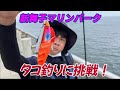 【新舞子マリンパーク】タコ釣りに挑戦！初めてタコエギを使います‼︎