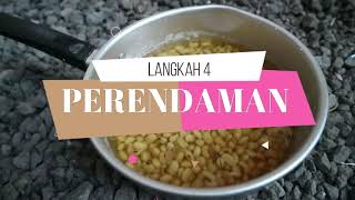 Bioteknologi Tradisional (Proses Pembuatan Tempe)