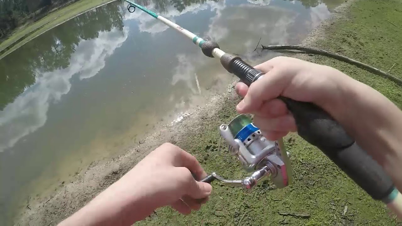 How to catch turtles on a fishing rod YouTube