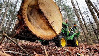 Milling Logs from a Fallen Poplar Tree from our Property. How many Slabs can I get from these Logs?