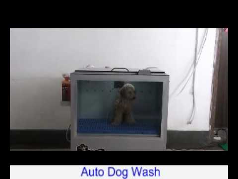 auto-pet-washer.wmv