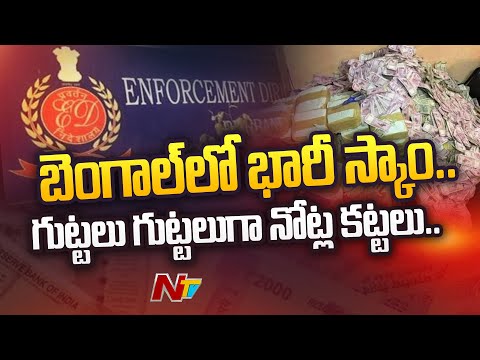 ED Raids Residences of TMC Bengal Ministers And Followers Over SSC Scam | Ntv