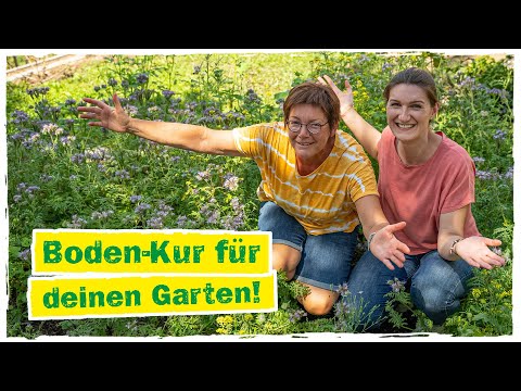 Video: Was ist Gründüngung - Gründüngung verwenden und herstellen