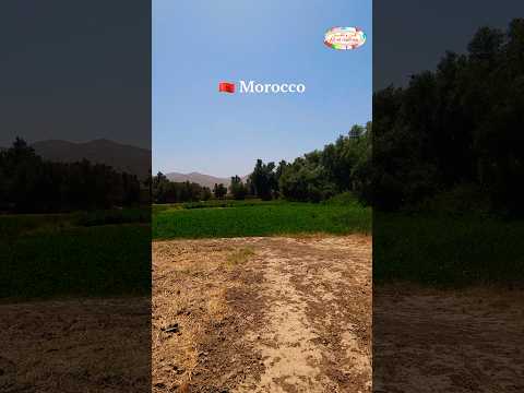 صباح جميل وسط قرية بسيطة حياة الريف بالمدينة الريفية الصحراء المغربية 