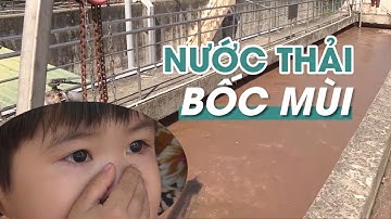 Mất ăn mất ngủ vì trạm xử lý nước thải bốc mùi hôi thối