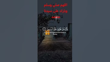 سوره الفيل كامله بصوت هادئة Surah Al-Fil complete with a calm voice