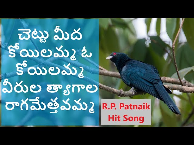 Chettu meeda koyilamma || చెట్టు మీద కోయిలమ్మ వీరుల త్యాగాల రాగమేత్తవమ్మ ||  Viplava Gurthulu class=