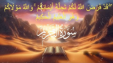 سورة التحريم بصوت الشيخ احمد العجمي