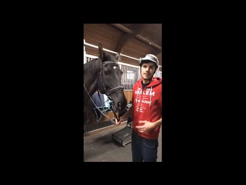 Video: Ako Osedlať Koňa