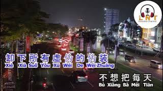 Dao Le Zhe Ge Nian Ji 赵阿光  《 到了这个年纪  》 karaoke