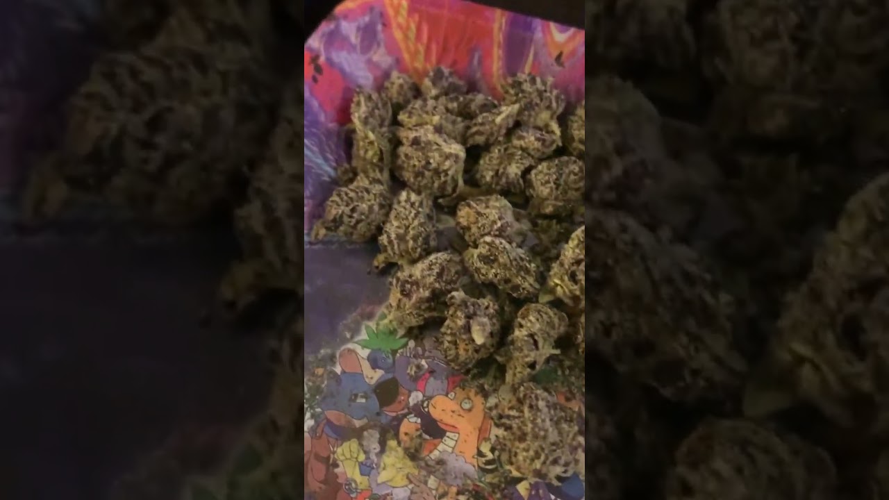 Just showin' off a little of that Granddaddy Purp!